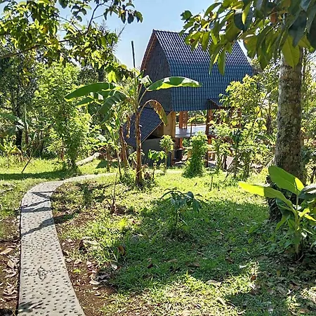 Bali Jungle Cabin