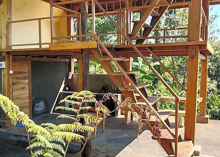 Bali Jungle Wongaya Gede